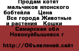 Продам котят мальчиков японского бобтейла. › Цена ­ 30 000 - Все города Животные и растения » Кошки   . Самарская обл.,Новокуйбышевск г.